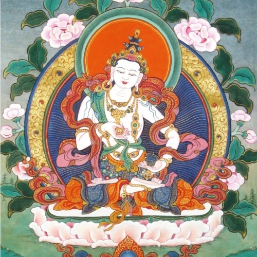 meditaciones guiadas para purificar el karma negativo
meditación y filosofía budista clases cdmx 2020