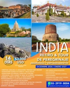 594072782_1352883766883135_6217224089721578932_n