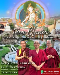 619628995_18338044777242369_6030179937753869994_n (1)