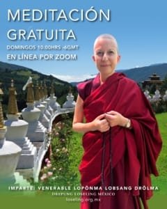 640208239_1419477320223779_6749118512802151377_n