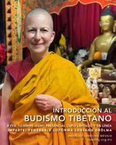 WhatsApp Image 2026-01-22 at 17.54.55