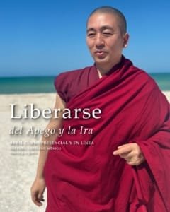 WhatsApp Image 2026-03-14 at 15.57.25 (1)