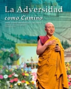 WhatsApp Image 2026-03-14 at 15.57.25