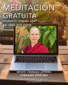 WhatsApp Image 2026-03-14 at 18.54.35