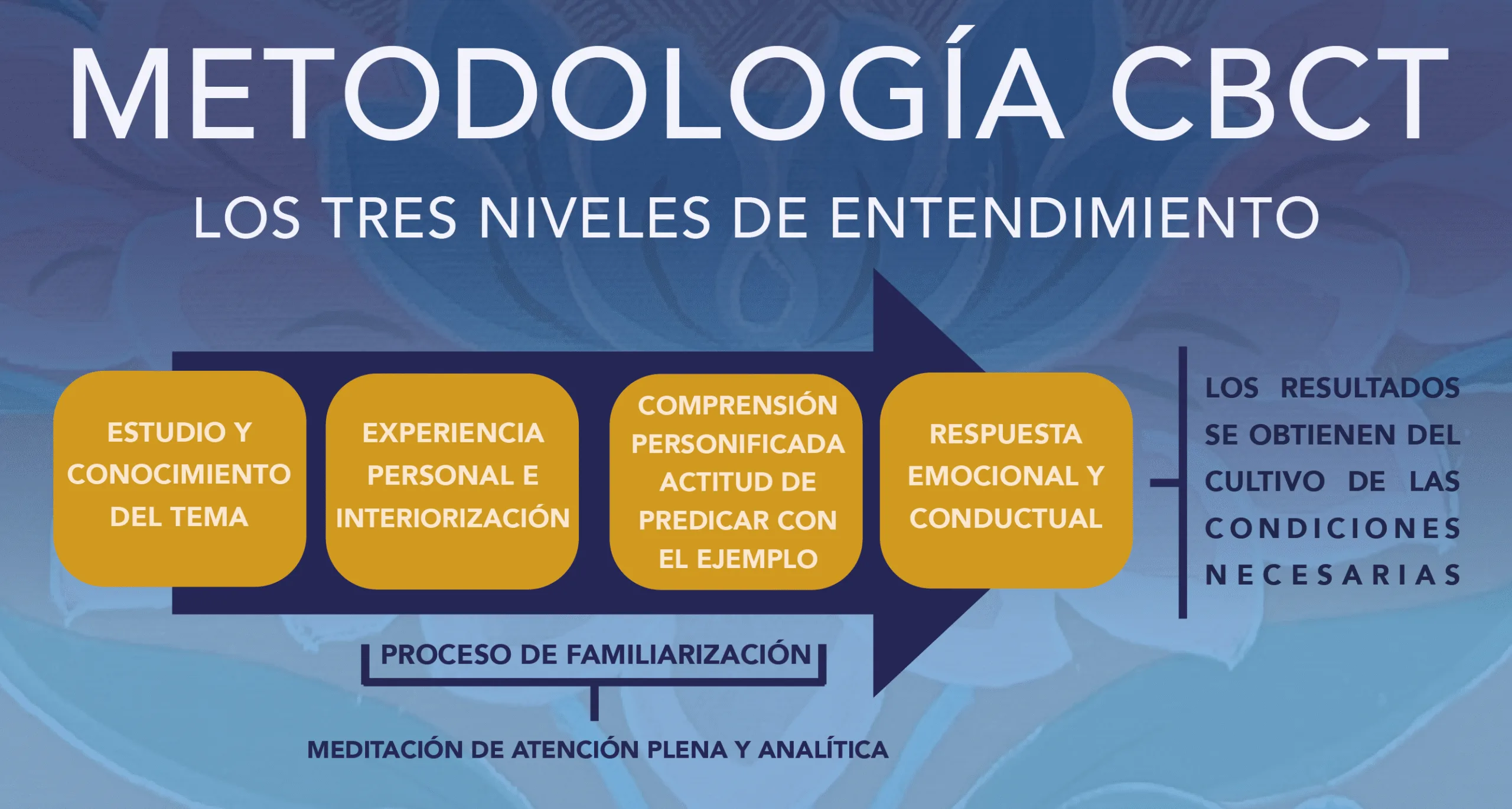 METODOLOGÍA CBCT WEB 25